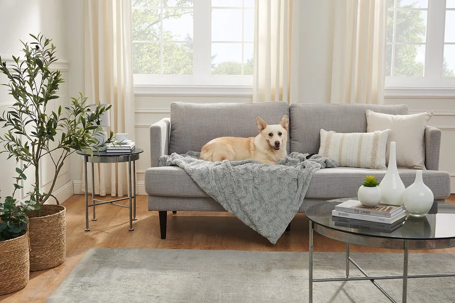 Pet-Friendly Furniture