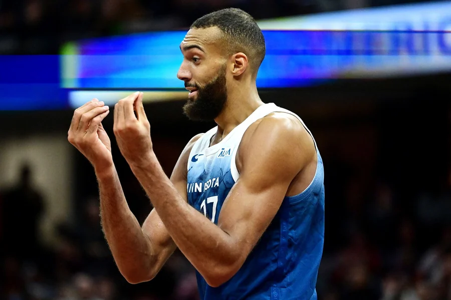Rudy Gobert Net Worth