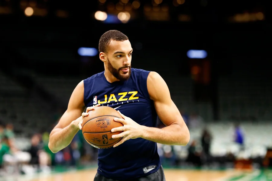 Rudy Gobert Net Worth