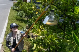 Preventive Pest Care Strategies for Orange County