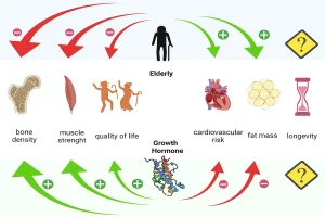 growth hormone