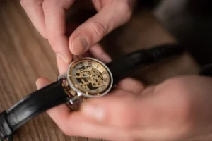 TUDOR Watches