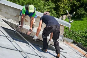 Professional Roofers