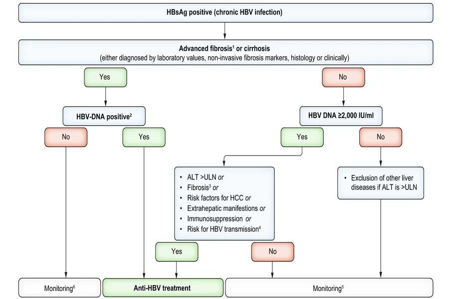 HBV DNA PCR