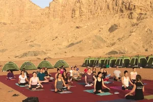 Desert Therapy Is Real